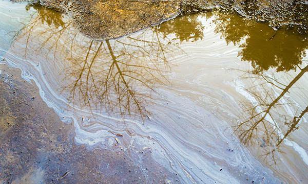 Contemporaneous Ground Surface Spills Immediately absorb runaway oil and other hydrocarbons with our bentonite clay products (ER, IS and SC-G). When wettened with non-chlorinated water, the high concentrate of microbes will activate and quickly convert the hydrocarbons into water and nutrients for plants and animals, dramatically reducing the expense associated with hazardous waste removal.